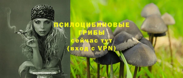 трава Алзамай